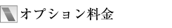 オプション料金